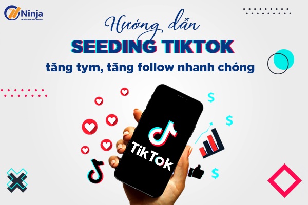 Hướng dẫn seeding Tiktok tự động tăng doanh thu bán hàng