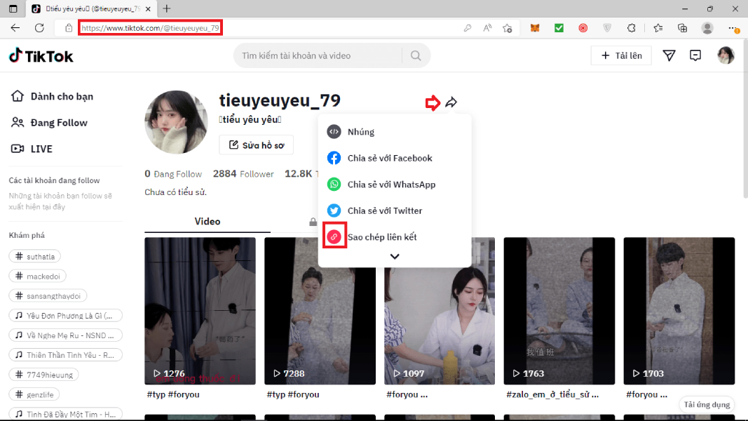 Hương dẫn lấy link tiktok