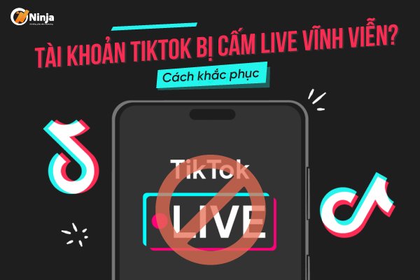 Hướng dẫn cách khắc phục khi tài khoản Tiktok bị cấm live vĩnh viễn