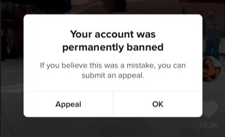 Permanent Ban ( tài khoản Tiktok bị đình chỉ vĩnh viễn)